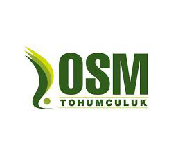 cihangir aydınlatma